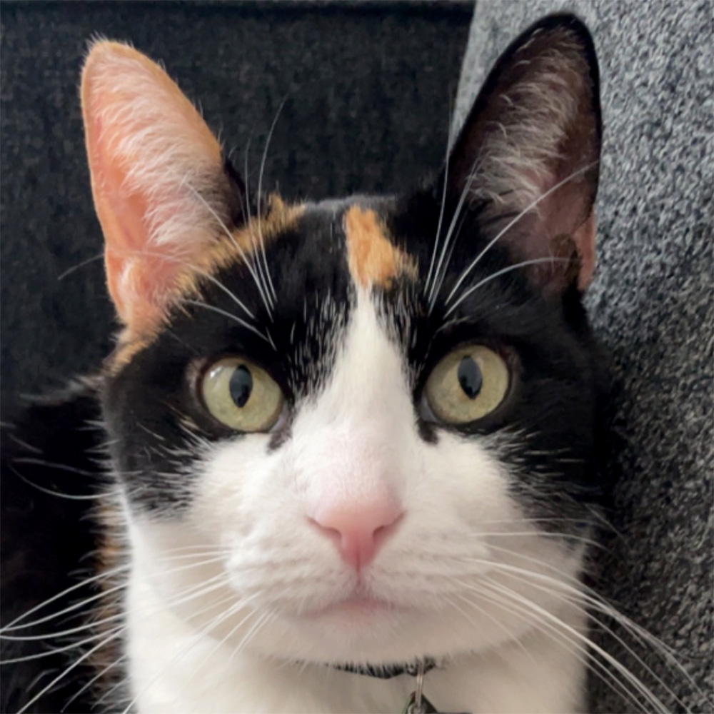 Luna